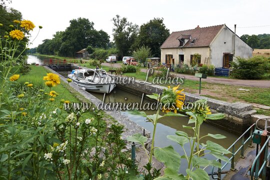 dt bourgogne centre juillet2014 canal nivernais tannay 006