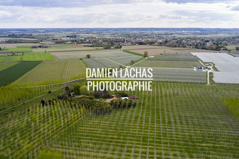 tarn garonne agriculture urbanisme 001