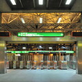 metro lyon station gare de venissieux 003