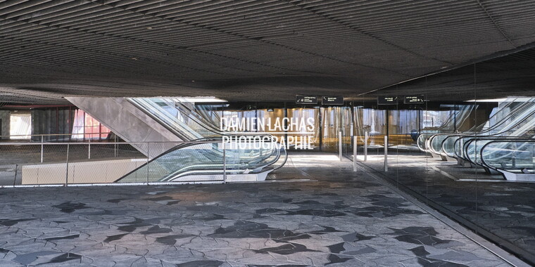 paris mars2019 philarmonique 025