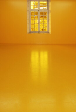 dl interieur jaune fenetre 001