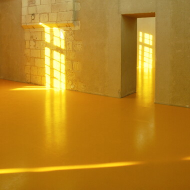 dl interieur jaune porte 008