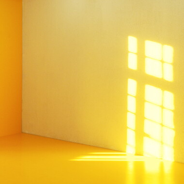 dl interieur jaune rayon 009