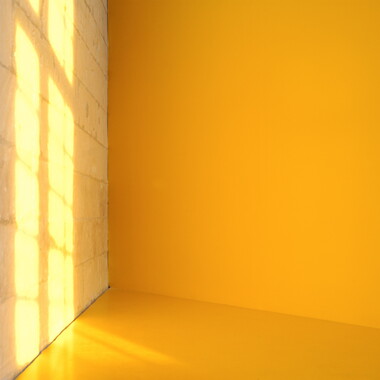 dl interieur jaune rayon 011