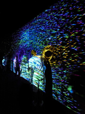 vacance 2018 paris teamlab 003