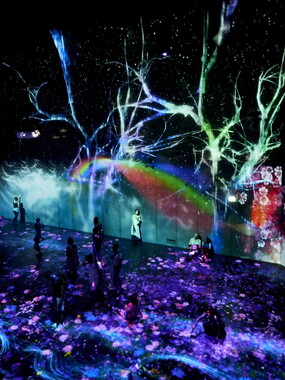 vacance 2018 paris teamlab 005
