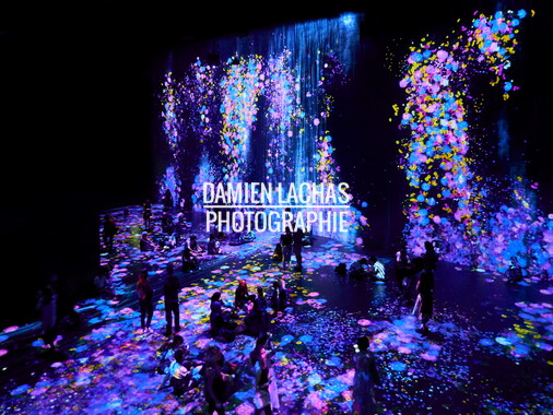 vacance 2018 paris teamlab 006