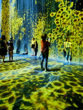 vacance 2018 paris teamlab 012