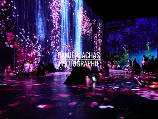 vacance 2018 paris teamlab 024