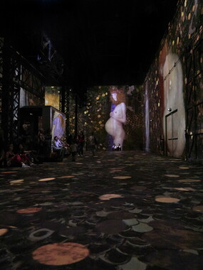 atelier lumiere gustav klimt 011
