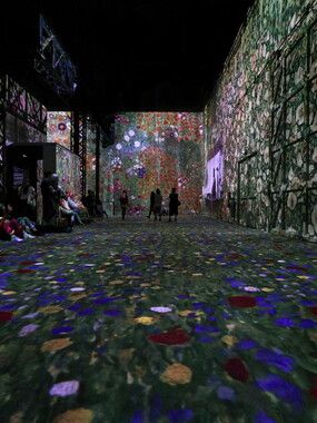 atelier lumiere gustav klimt 013
