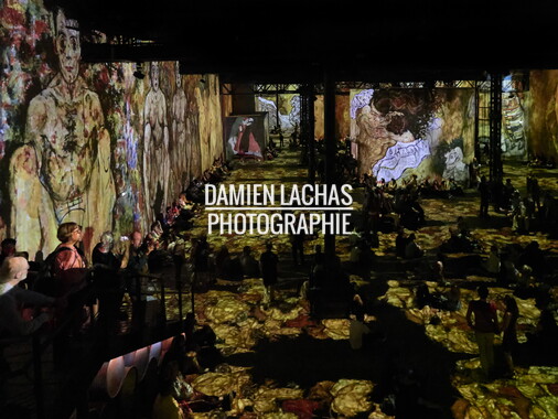 atelier lumiere gustav klimt 020