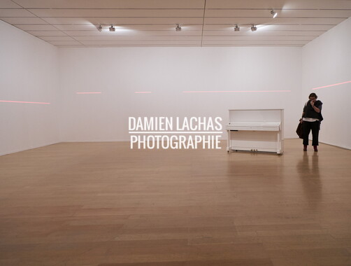 biennale art lyon 2017 mac 017