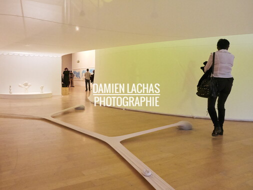 biennale art lyon 2017 mac 023