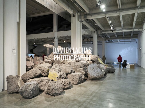 biennale art lyon 2017 sucriere 008