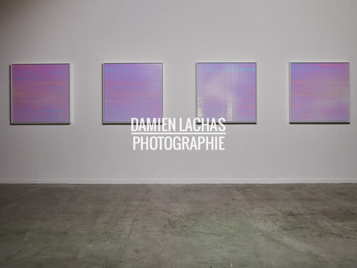 biennale art lyon 2017 sucriere 021