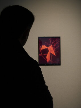 biennale art lyon 2017 sucriere 022
