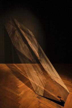 biennale art lyon 2022 guimet 023