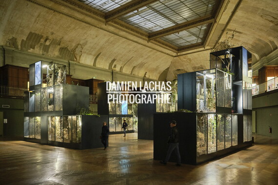biennale art lyon 2022 guimet 028