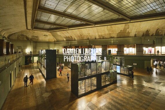 biennale art lyon 2022 guimet 029