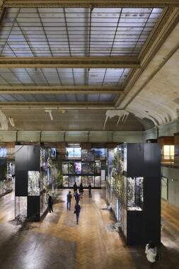 biennale art lyon 2022 guimet 032