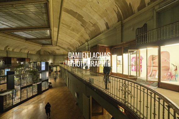 biennale art lyon 2022 guimet 033