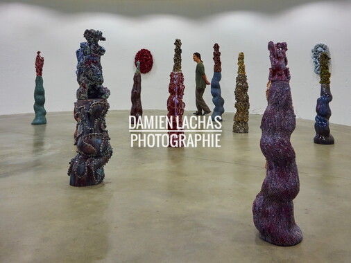 biennale arts contemporain lyon 2015 001
