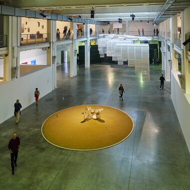 biennale arts contemporain lyon 2015 009