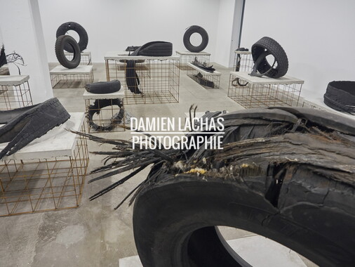 biennale arts contemporain lyon 2015 011