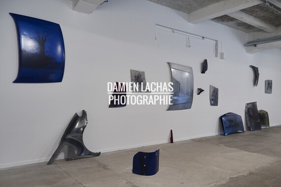 biennale arts contemporain lyon 2015 013