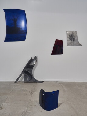 biennale arts contemporain lyon 2015 014