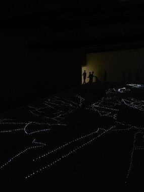 biennale arts contemporain lyon 2015 019