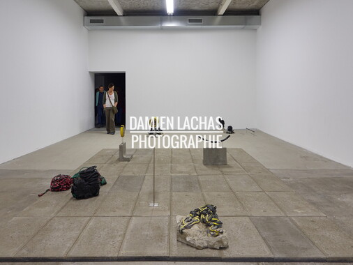 biennale arts contemporain lyon 2015 021