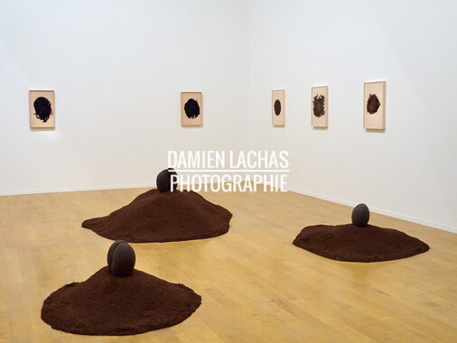 biennale arts contemporain lyon 2015 031