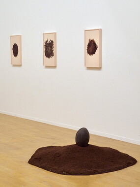 biennale arts contemporain lyon 2015 032