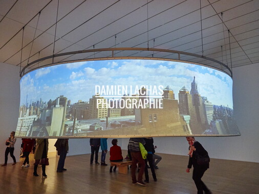biennale arts contemporain lyon 2015 034