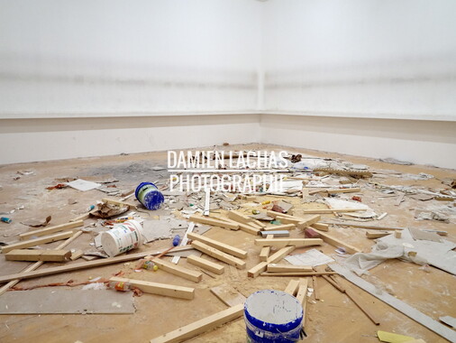 biennale arts contemporain lyon 2015 040