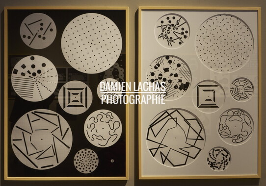 biennale design 2015 012