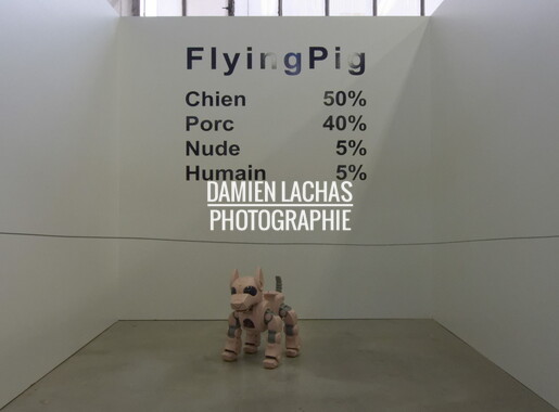 dl biennale design st etienne 2013 0062