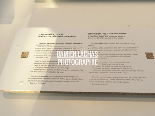 dl biennale design st etienne 2013 0114