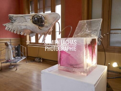 biennale hors normes lyon 2017 006