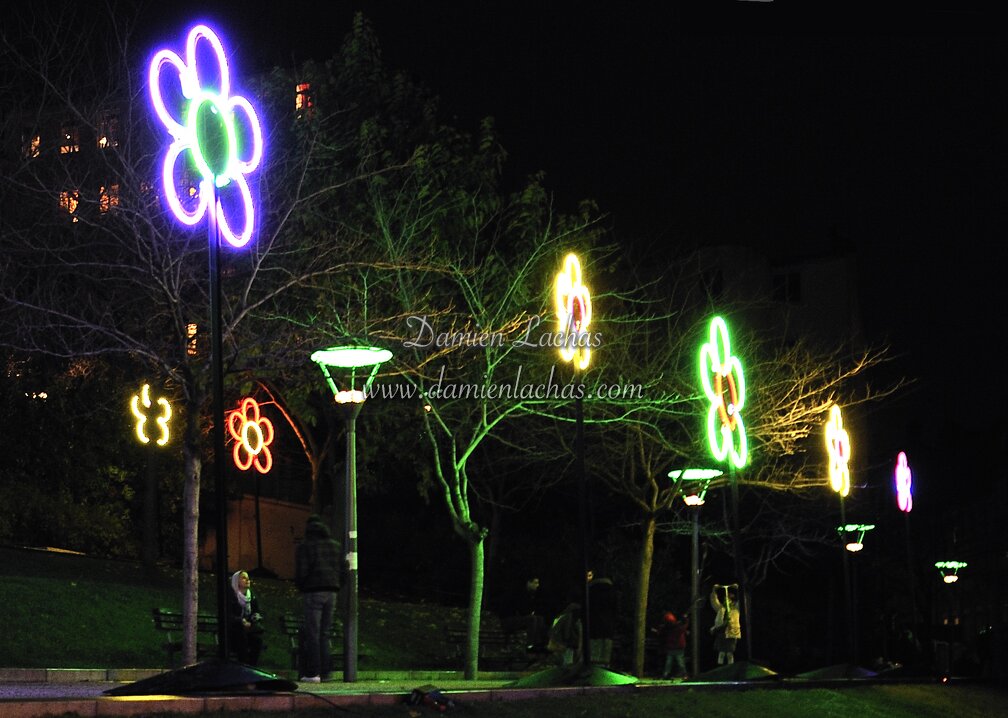 dl_nuits_lumieres_2009_004.jpg