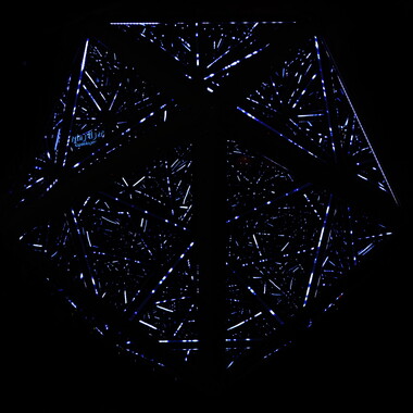 fetes lumiere 2019 microcosmos 006