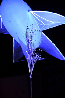 fetes lumiere 2019 prairie ephemere bellecour 004