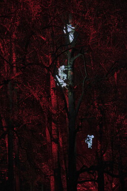 fetes lumiere 2019 regarde parc tete-or 001