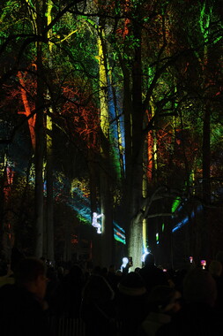 fetes lumiere 2019 regarde parc tete-or 003