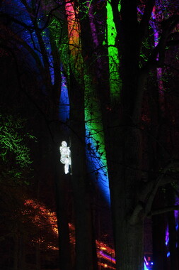 fetes lumiere 2019 regarde parc tete-or 004