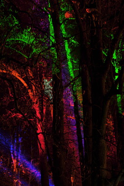 fetes lumiere 2019 regarde parc tete-or 006