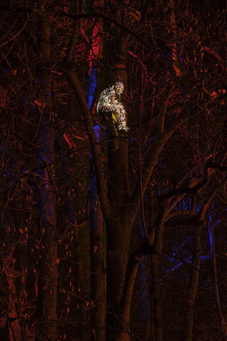 fetes lumiere 2019 regarde parc tete-or 007