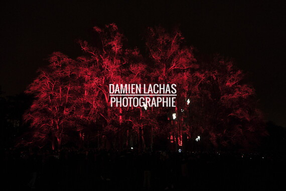 fetes lumiere 2019 regarde parc tete-or 014